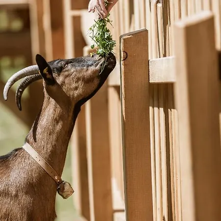 شقة Muchas Schönwies